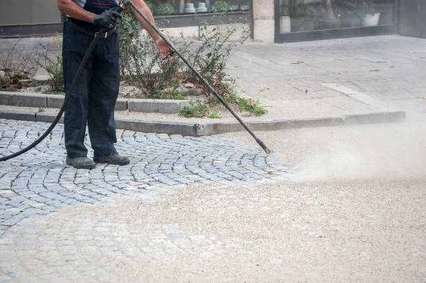 Best Pre-Holiday Cleaning  in Woodlawn, MD